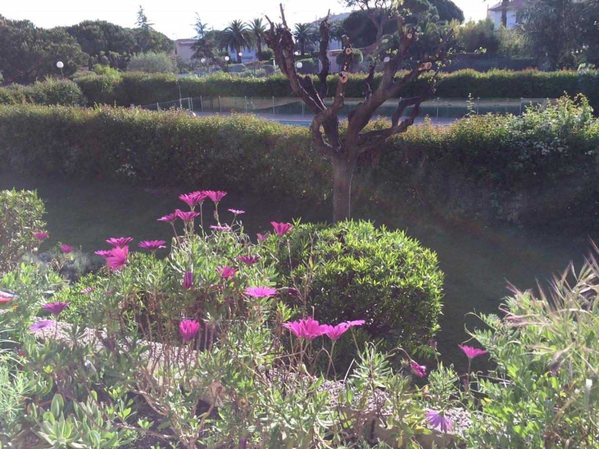 Appartement 2 Pieces, Renove, 2 Piscines+Tennis, Mer, Climatisation Antibes Exterior foto